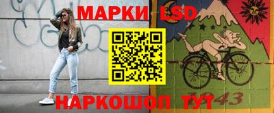 прущий лед Будённовск
