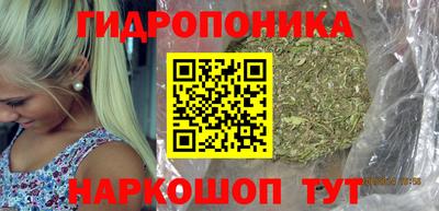 прущий лед Будённовск