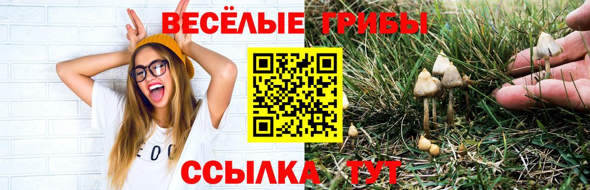 Псилоцибиновые грибы прущие грибы Подольск