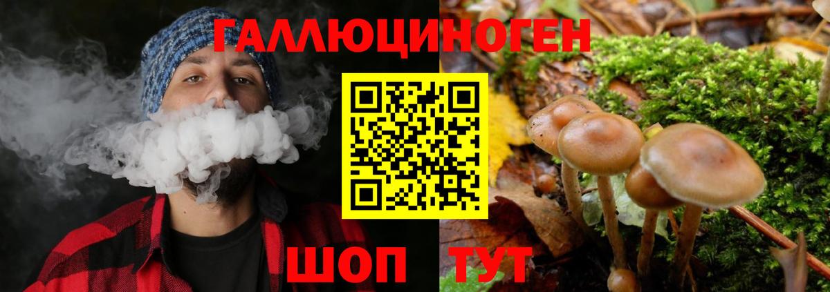 Псилоцибиновые грибы GOLDEN TEACHER  Вход с VPN  Подольск 